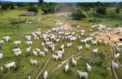 Fazenda à venda na josé barriga, 00, centro, rondonópolis, 2500 m2 por r$ 28.500.000