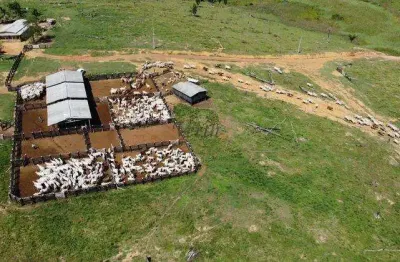 Fazenda à venda na rural, 12222, centro, pacajá, 3100 m2 por r$ 38.400.000