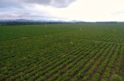 Fazenda à venda na rural, sn, centro, itamaraju, 4185 m2 por r$ 300.000.000