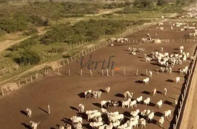 Fazenda à venda na rural, sn, centro, ibotirama, 20000 m2 por r$ 500.000.000