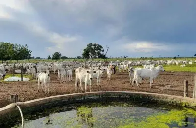 Fazenda à venda na rural, sn, centro, carinhanha, 7300 m2 por r$ 40.000.000