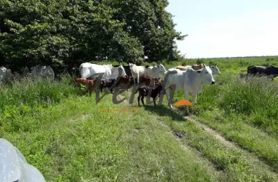 Fazenda à venda na rural, 3434, centro, riachão das neves, 1467 m2 por r$ 16.000.000