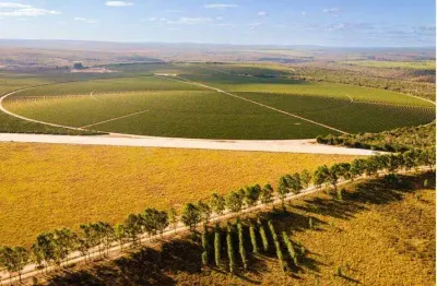 Fazenda à venda na rural, 3434, centro, berizal, 1216 m2 por r$ 75.000.000