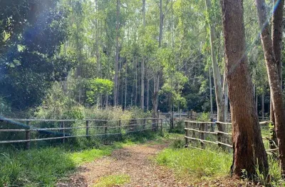 Fazenda à venda na rural, 1212, centro, argirita, 176 m2 por r$ 6.500.000