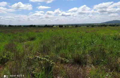 Fazenda à venda na rural, 1212, centro, manga, 4535 m2 por r$ 24.680.000