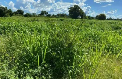 Fazenda à venda no centro, januária , 4538 m2 por r$ 54.000.000