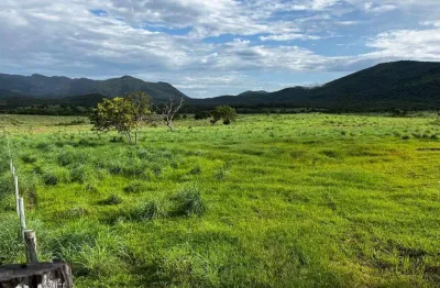 Fazenda à venda na rural, 2324, centro, campos belos, 2725 m2 por r$ 47.000.000