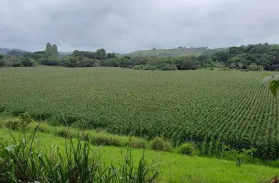 Fazenda à venda no centro, juiz de fora , 1008 m2 por r$ 50.000.000