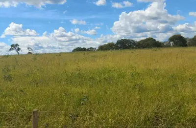 Fazenda à venda na rural, 1232, centro, pintópolis, 3500 m2 por r$ 35.000.000