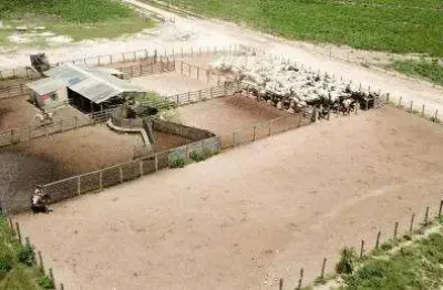 Fazenda à venda na rural, 1212, centro, baianópolis, 17799 m2 por r$ 215.000.000