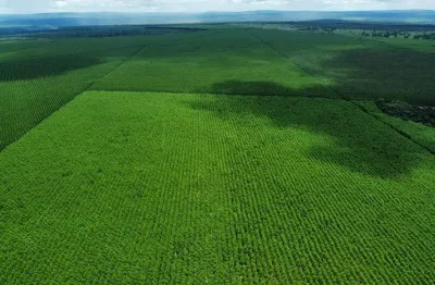 Fazenda à venda na rural, 1000, centro, jacupiranga, 1000 m2 por r$ 55.000.000