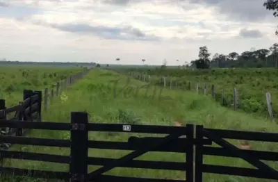 Fazenda à venda na rural, 1000, centro, marcelândia, 10312 m2 por r$ 124.000.000