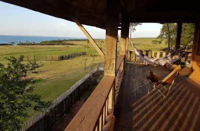 Fazenda à venda na rural, 1000, centro, rosana, 2202 m2 por r$ 150.000.000