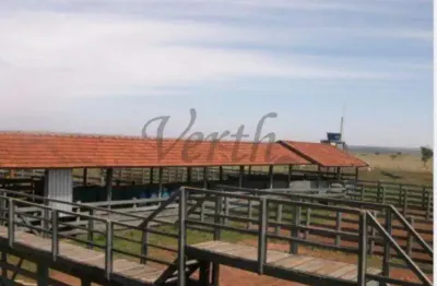 Fazenda à venda na são luiz, 1000, centro, marília, 1016 m2 por r$ 355.600.000