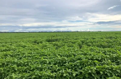 Fazenda à venda na rural, 1000, centro, santa terezinha, 39000 m2 por r$ 650.000.000
