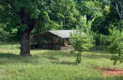 Fazenda à venda na rural, 100, centro, pintópolis, 200 m2 por r$ 5.000.000