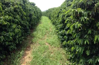 Fazenda à venda no centro, são joaquim da barra , 1016 m2 por r$ 300.000.000