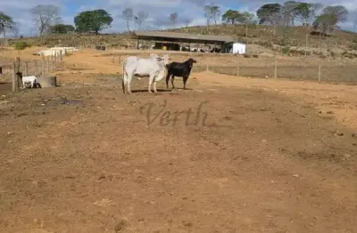 Fazenda à venda no centro, belo horizonte , 408 m2 por r$ 12.000.000