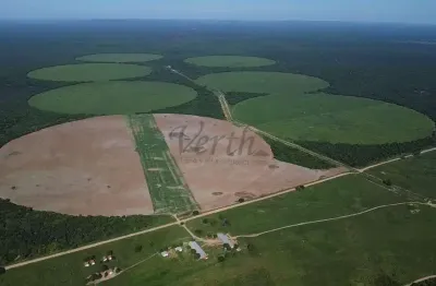 Fazenda à venda na avenida anchieta, 827, centro, campinas, 5600 m2 por r$ 140.000.000