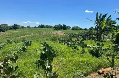 Fazenda à venda na avenida anchieta, 827, centro, campinas, 2000 m2 por r$ 25.000.000
