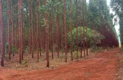 Fazenda à venda na rural, 1000, centro, lassance, 1700 m2 por r$ 55.000.000