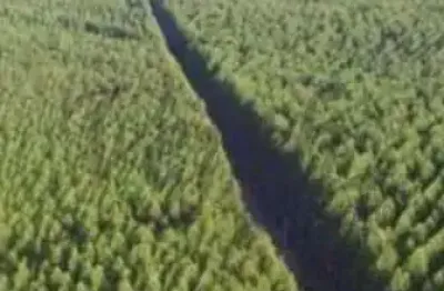 Fazenda à venda na dom pedro ii, 1000, centro, curvelo, 38000 m2
