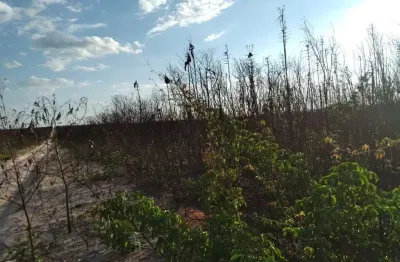 Fazenda à venda na rural, 1000, centro, pilão arcado, 210000 m2 por r$ 620.000.000