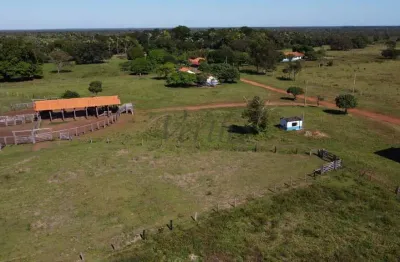 Fazenda à venda na rua manoel ferreira rocha, 1155, centro, são félix do araguaia, 83600 m2 por r$ 800.000.000