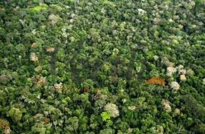 Fazenda à venda na rua marechal floriano peixoto 116, 01, centro, borba, 109000 m2 por r$ 54.500.000