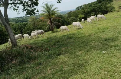Fazenda à venda no centro, monte santo de minas , 160 m2 por r$ 1.100.000