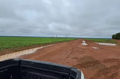 Fazenda à venda na avenida tancredo neves 1200, 1000, centro, nova ubiratã, 2500 m2 por r$ 196.000.000