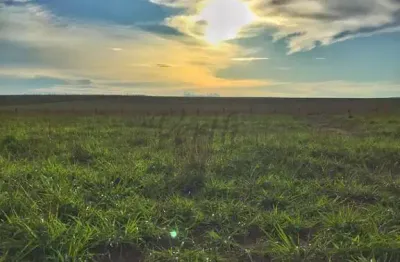 Fazenda à venda na avenida padre nazareno lanciotti, centro, jauru, 3033 m2 por r$ 45.000.000