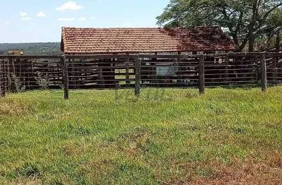 Fazenda à venda na avenida sete 380, 1000, centro, campina verde por r$ 10.890.000