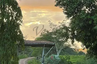 Fazenda à venda na rua inês soares 80, 1000, centro, pacajá, 800 m2 por r$ 55.000.000
