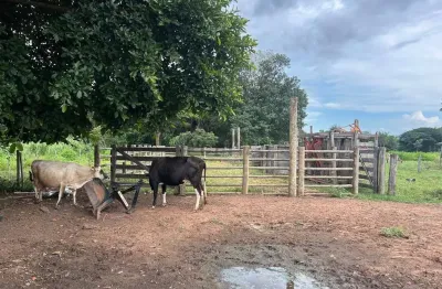 Fazenda à venda na rua barão do rio branco 110, 1000, centro, rio verde de mato grosso, 50 m2 por r$ 5.000.000