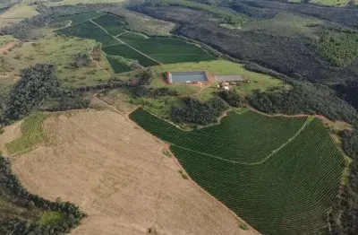 Fazenda à venda na rua felisberto fonseca, 68, 1000, centro, presidente olegário, 1674 m2 por r$ 27.000.000
