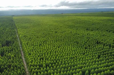 Fazenda à venda na avenida afonso pena, 1000, centro, campo grande, 1000 m2 por r$ 700.000.000
