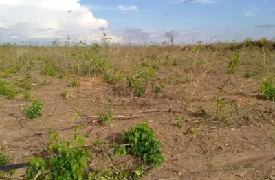 Fazenda à venda na rural, 3434, centro, riachão das neves, 2782 m2 por r$ 65.000.000