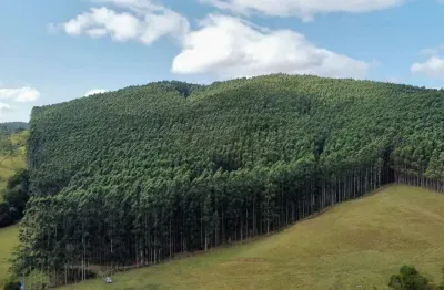 Fazenda à venda na avenida santa catarina 919, 1000, centro, imbituba, 1000 m2 por r$ 100.000.000