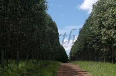 Fazenda à venda na avenida oliveira cesar 106, 1000, centro, itapirapuã paulista, 242 m2 por r$ 10.000.000