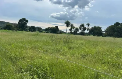 Fazenda à venda na rua barão do rio branco 110, 110000, centro, rio verde de mato grosso, 50 m2 por r$ 5.000.000