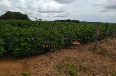 Fazenda à venda na rural, sn, cidade alta, alta floresta, 585 m2 por r$ 60.000.000