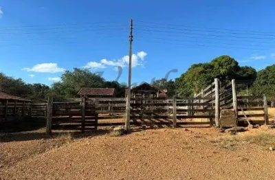 Fazenda à venda na da primavera, 1000, cidade jardim, paracatu, 1160 m2 por r$ 45.000.000