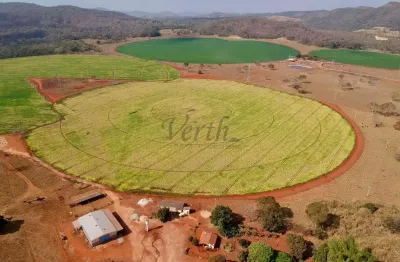 Fazenda à venda na adelina andrade porto, 1000, flamboyant, paracatu, 125 m2 por r$ 13.500.000