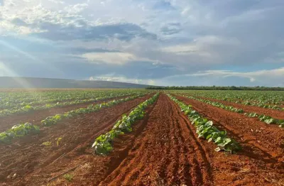 Fazenda à venda na a, 00, fátima, sete lagoas, 2580 m2 por r$ 180.000.000