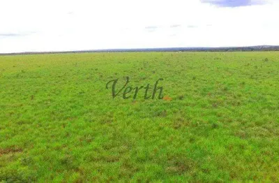 Fazenda à venda na rural, 2222, setor central, guaraí, 730 m2 por r$ 15.000.000