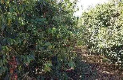 Fazenda à venda na da pedra, 200, itapuã, unaí, 680 m2 por r$ 110.000.000