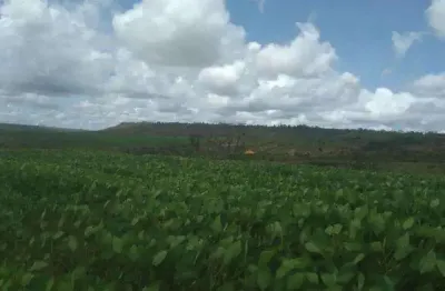 Fazenda à venda na maestro joão luiz do espírito santo, sn, jardim califórnia, formosa, 1100 m2 por r$ 25.000.000