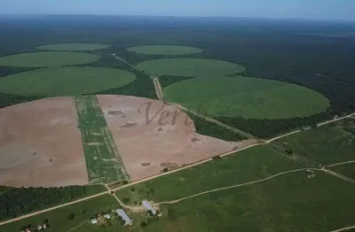 Fazenda à venda na das cajás, 100, jardim imperial, luís eduardo magalhães, 5600 m2 por r$ 140.000.000