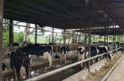 Fazenda à venda na unaí, 1000, mamoeiro, unaí, 617 m2 por r$ 70.000.000